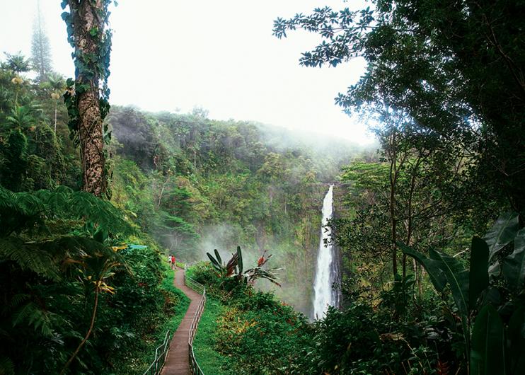 akaka-falls-big-island-hawaii